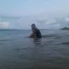 noknokrei_04