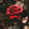 flower_j_001