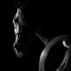 fahad.m00