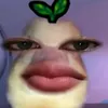 richardflorencesa