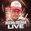 Тёмати на Товарке