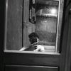 aldy_1234562