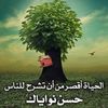 om_albnat8