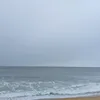hong25031