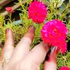 msthiya1122