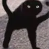 du_toktik