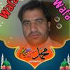 gulmohammadahmadzai