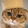 miawrawrskibidi