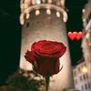 hadiiiil_7