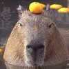 _____capybara________