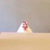 ferek768