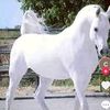 user182573999djire