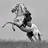 khasanov_0726