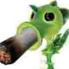 pea_on_da_zaa