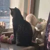 olechka_molechka