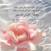 user8496328744149