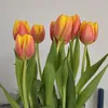 sonjanielsen1