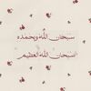 mariamashraf4136