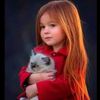 user11810754095733