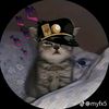anes_709