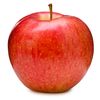 ogappleguy