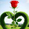 monirhossain0347