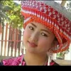 zoosiab127