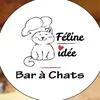 felineidee.barachats
