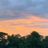 mysky2981