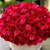 rakib_hossain987