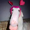 pipidastor090