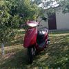 ving1i