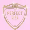 perfectlifecosmetics