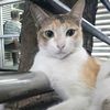 fahrul12_.com