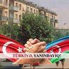 teymur.3334