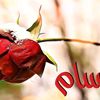 younesab137