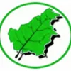 greenborneoraya