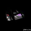 zass_1
