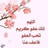 user84724018042287