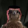 7_hor