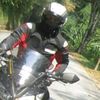 tripotan
