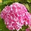 marjan9054