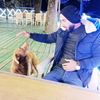 elnur_nesirov42