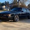 stevepuckett318