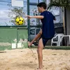 pedro.avelar._