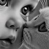 dy3mf4xis4d5albob