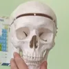 milanszxes