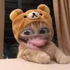 bonggchuche_39