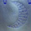 semer.ahmed0