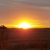 randy.shepherd4